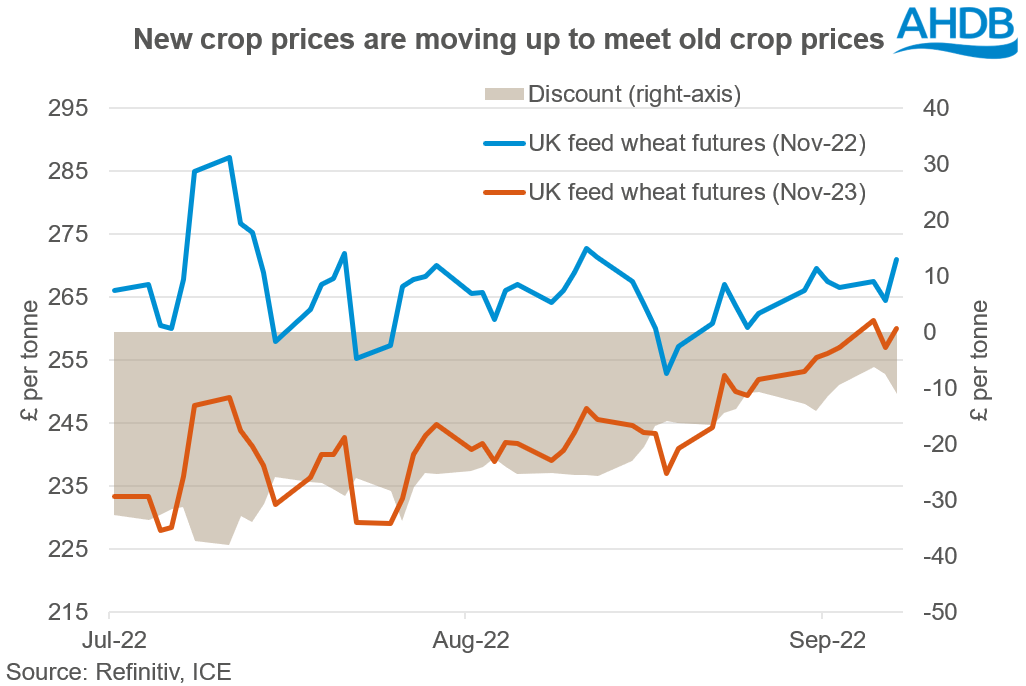 A graph showing UK old and new crop feed wheat futures prices